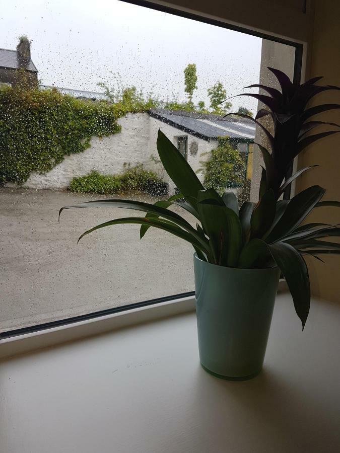 Appartement Glenbower House à Cork Extérieur photo