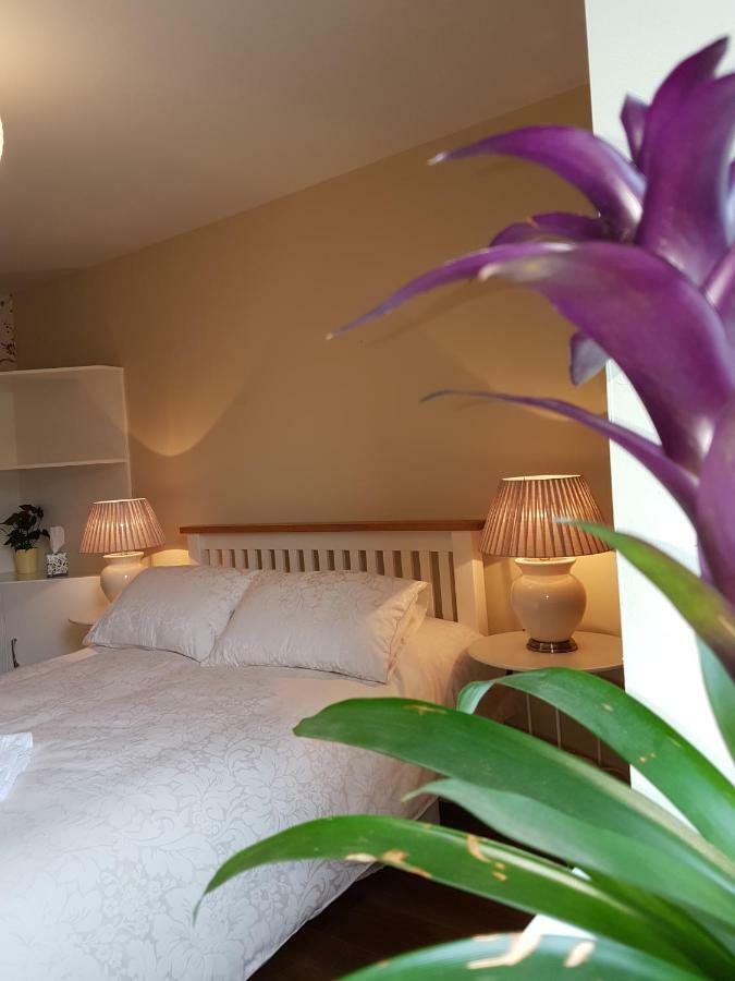 Appartement Glenbower House à Cork Extérieur photo