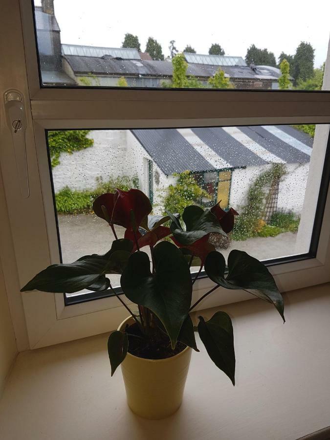 Appartement Glenbower House à Cork Extérieur photo